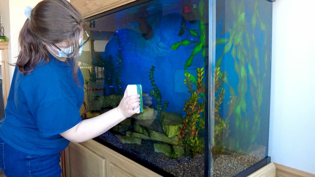 Role of Aquarium Services