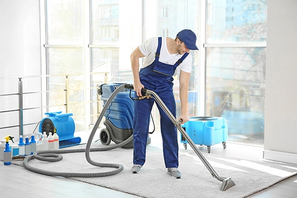 carpet cleaning london ontario
