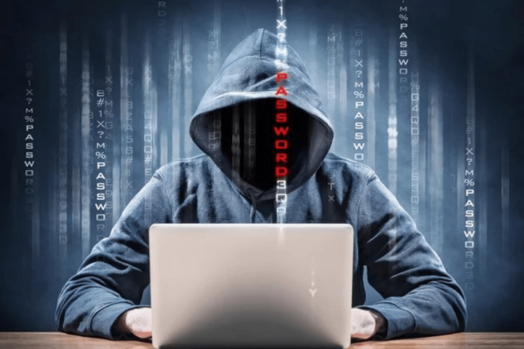 Mega Darknet